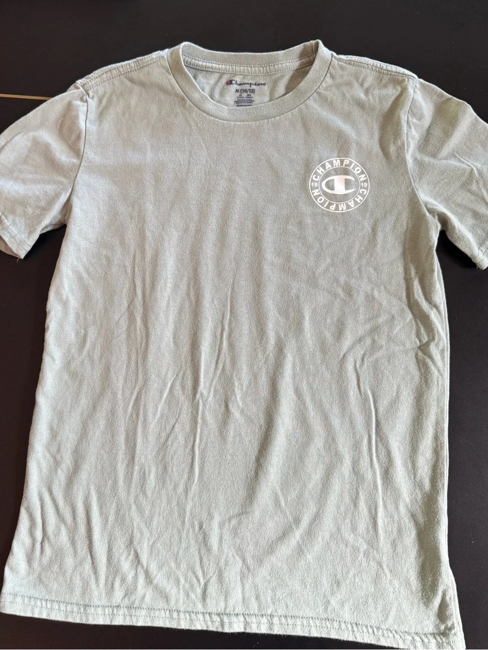 Champion Men's Sage Green Short Sleeve Tee with White Logo